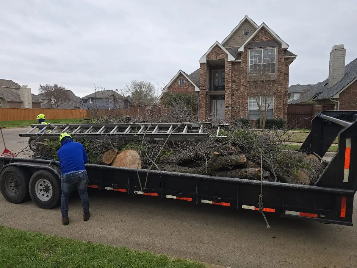 Expert Tree Removal with proper safety equipment in Lake Bronson